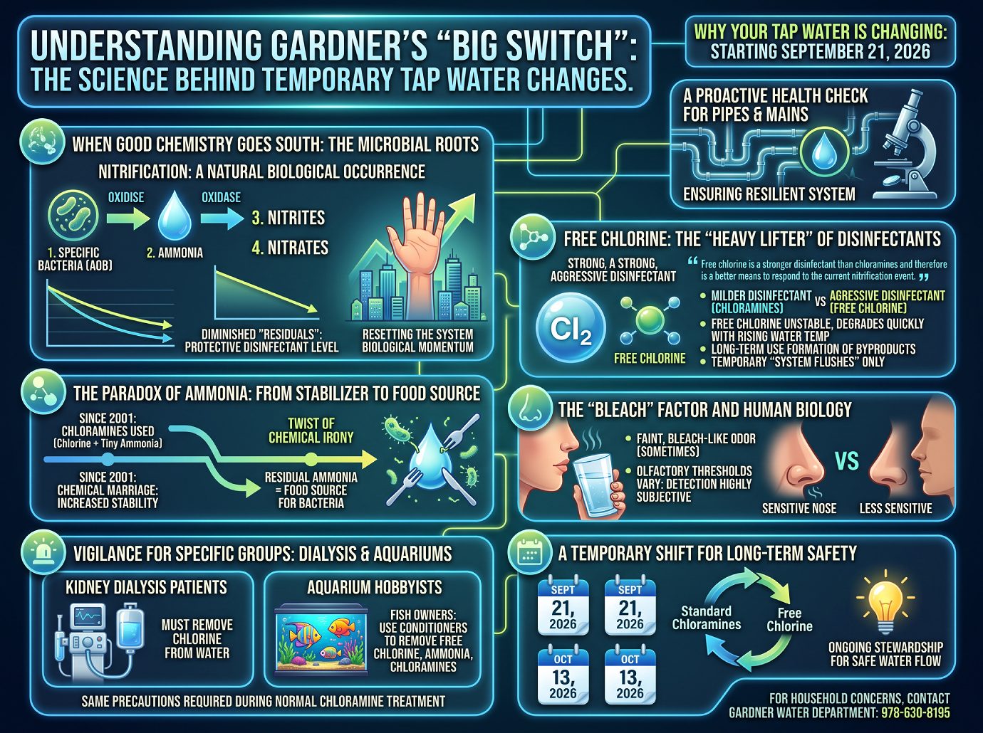 Understanding Gardner's Big Switch